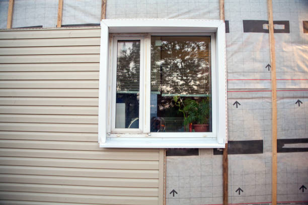 Best Siding Painting and Refinishing  in Keyes, CA