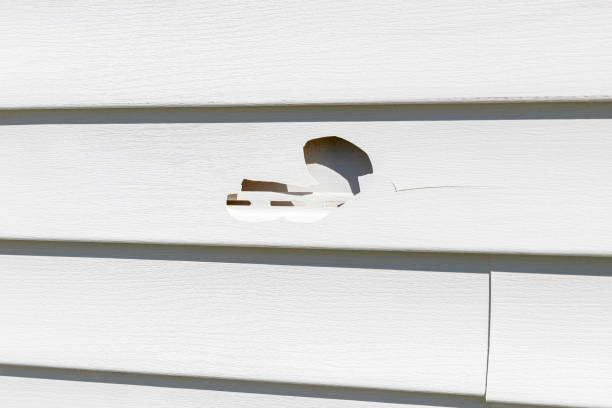 Best Siding Replacement  in Keyes, CA