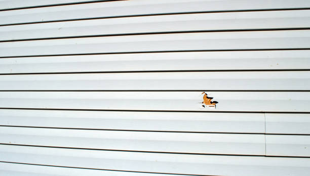James Hardie Siding in Keyes, CA